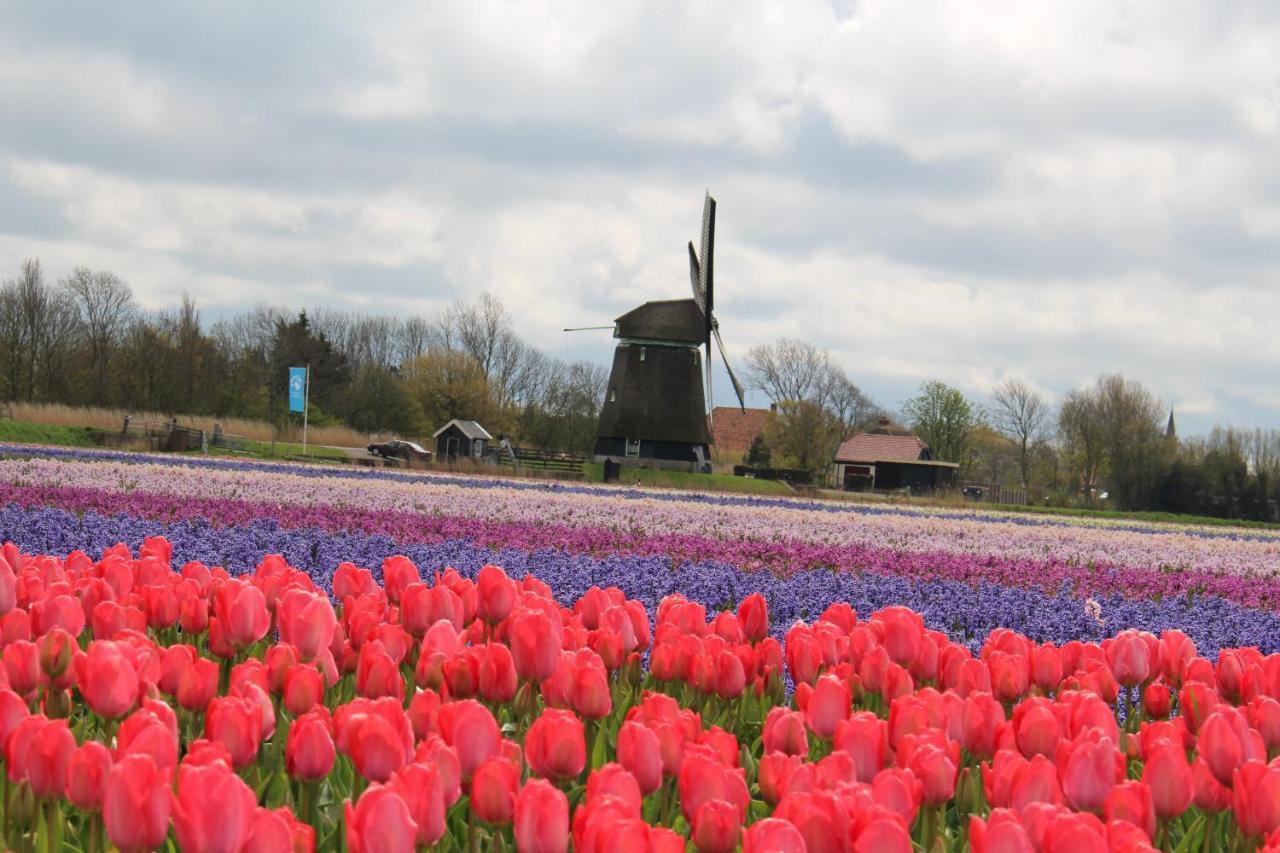Vogelvrij, Vakantie Woning Met Landelijk Uitzicht En Geheel Omheinde Tuin Burgerbrug 외부 사진